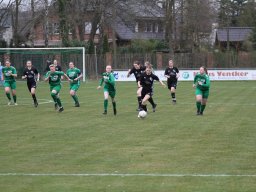 Fussball - Damen - SG-Dörenthe-Saerbeck-SG-Dreierwalde-Hörstel
