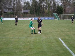 DSC-Dreierwalde