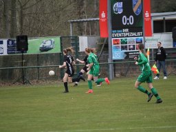 DSC-Dreierwalde