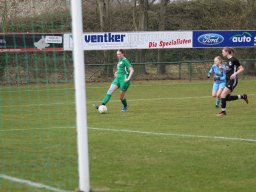 DSC-Dreierwalde