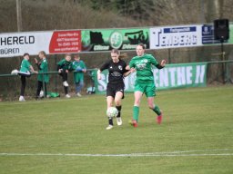 DSC-Dreierwalde