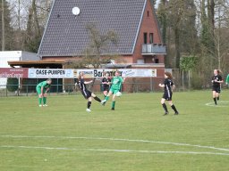 DSC-Dreierwalde