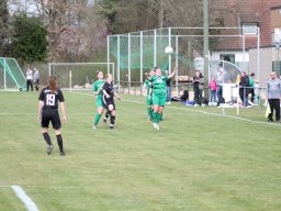 DSC-Dreierwalde