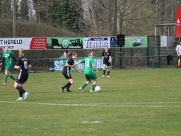 DSC-Dreierwalde