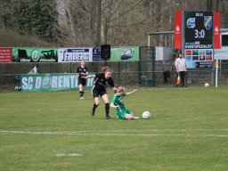 DSC-Dreierwalde