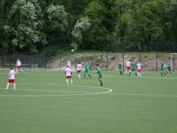 img_2339