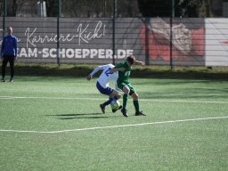 saer-dsc