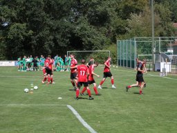 Fussball - 1. Herren - Testsiel gegen Steinbeck