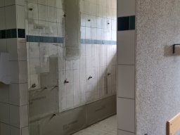 sanierung